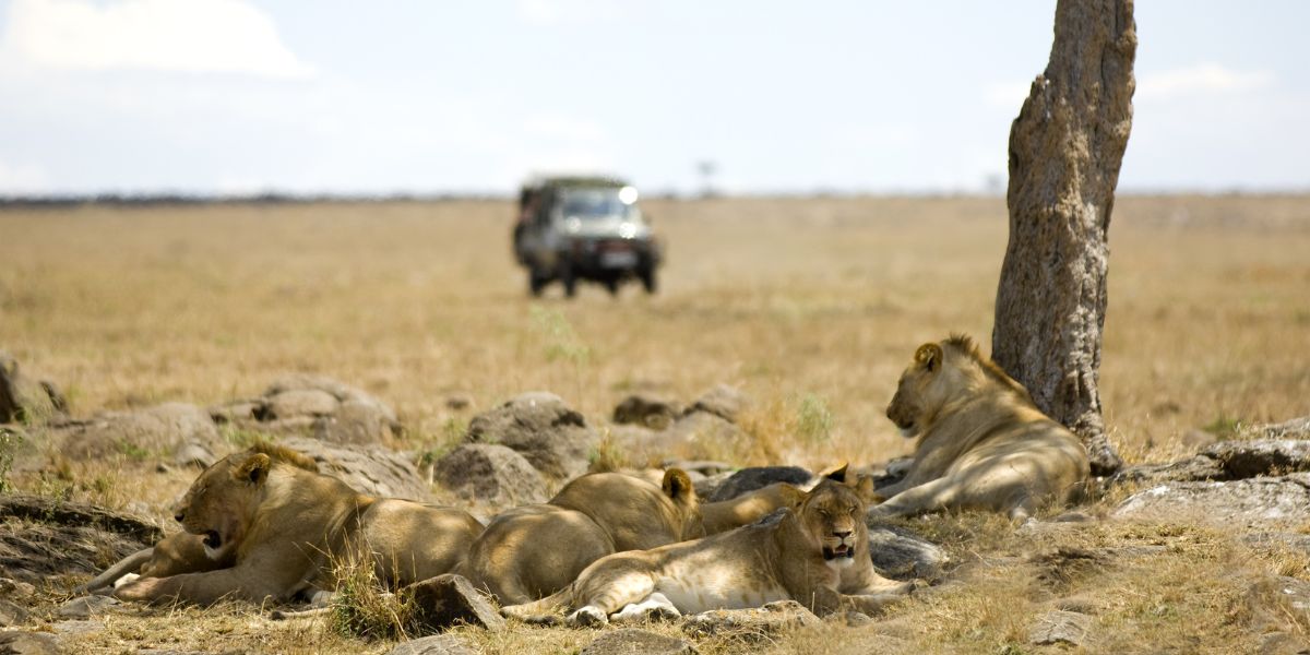 Kenya Wildlife Safari Tour Package from Nepal